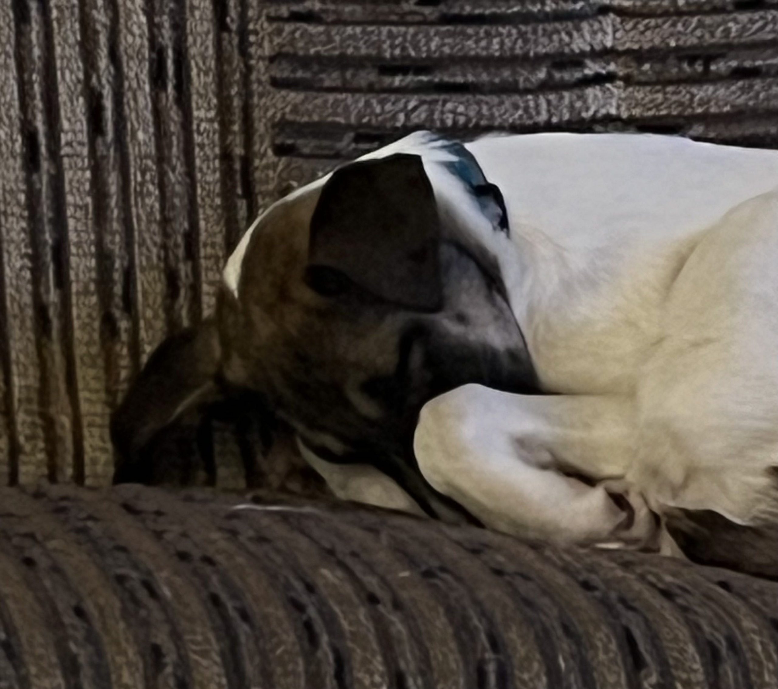 Taya liegt und nichts passiert